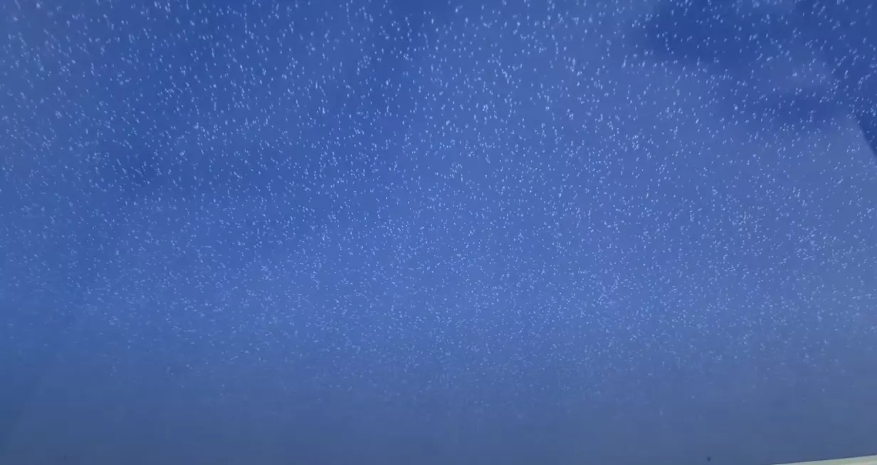 Барнаул, проспект Космонавтов, 59/1, фото 3