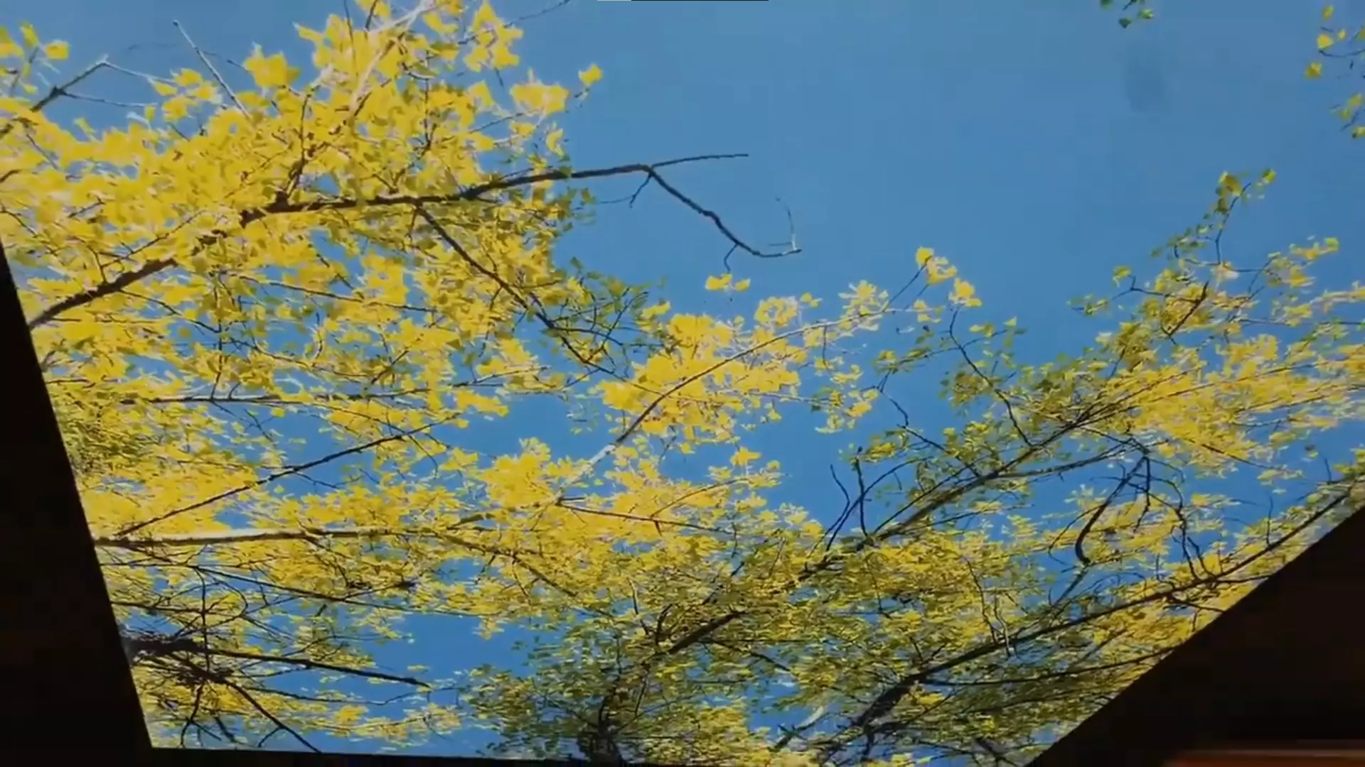 Невинномысск, , фото 2